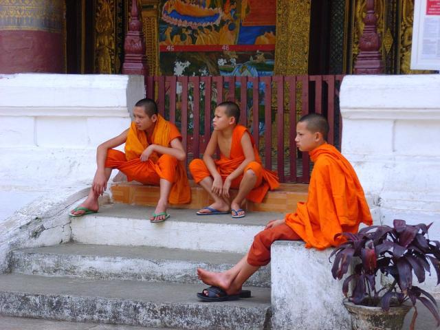 1615811319731074113.jpg 1615811319731074113.jpg